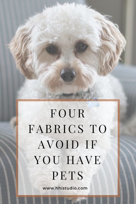 Need awesome ideas for your couch if you have puppies or kitties? Check out these tips on the fabrics to avoid using in your home with pets. Dog Friendly Furniture Living Rooms, Pet Friendly Furniture Living Rooms, Pet Friendly Living Room Furniture, Dog Friendly Interior Design, Best Furniture For Pet Owners, Dog Friendly Couch Sofas, Dog Friendly Home Ideas, Dog Friendly Home, Pet Friendly Home