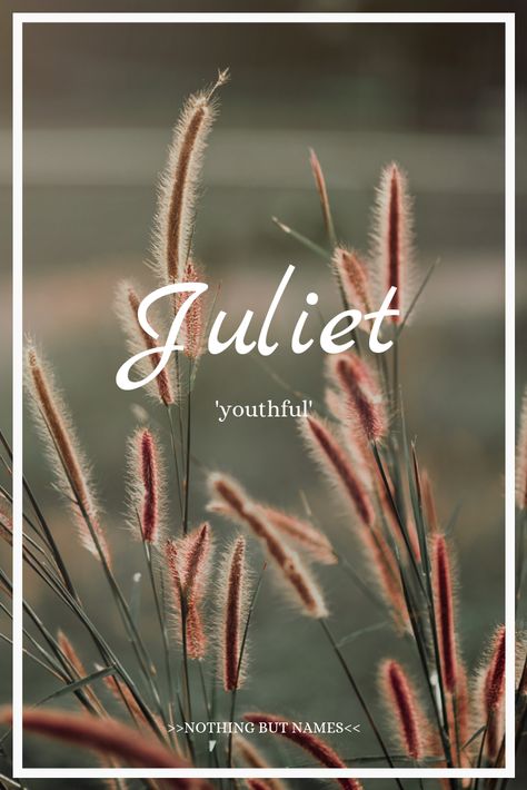 Juliet: English, meaning 'youthful' Juliet Name Meaning, Juliet Name, Juliet Wallpaper, English Meaning, Name Wallpaper, Names With Meaning, Rapunzel, Baby Names, Mood Boards