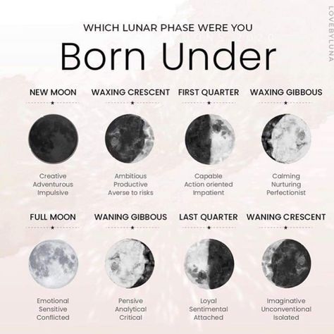 Different Phases Of The Moon, Astrology Meaning, Magia Das Ervas, Birth Chart Astrology, Learn Astrology, Witchcraft Spell Books, Witch Spell Book, Lunar Phase, Phases Of The Moon