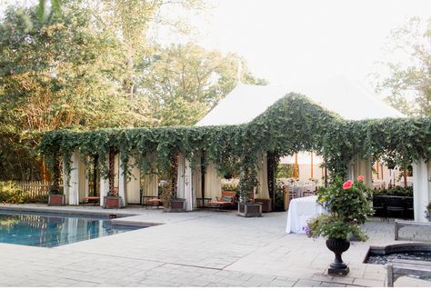 Clifton Inn Wedding in Charlottesville by Alisandra Photography Clifton Inn Wedding, Yellow Wedding Flowers, Charlottesville Virginia, Wedding Tent, Inn Wedding, Gorgeous Couple, Yellow Wedding, Tent Wedding, June 1