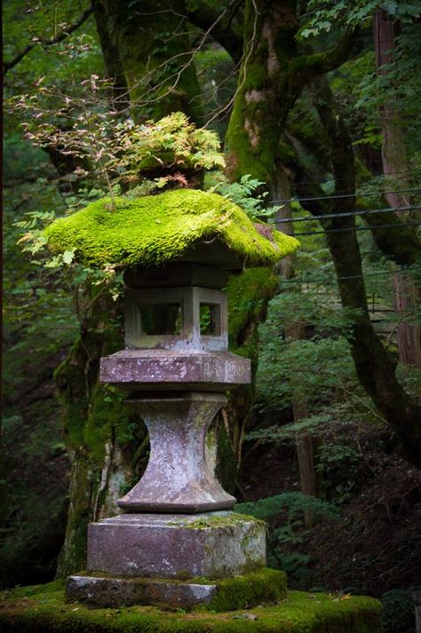 . Backyard Lanterns, Japanese Garden Lanterns, Japanese Stone Lanterns, Garden Japanese, Japanese Style Garden, Japanese Garden Landscape, Stone Lantern, Japan Garden, Japanese Lanterns