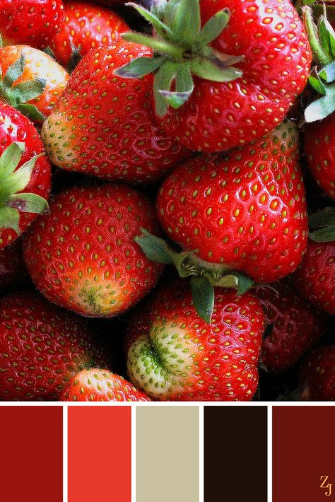 Jam Color Palette, Color Combinations Home, Color Schemes Colour Palettes, Coloring Supplies, Design Seeds, Colour Board, Colour Palettes, Color Box, World Of Color