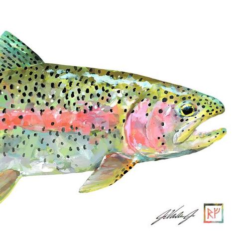 Shane Gray, Trout Painting, Trout Art, Watercolor Fish, Rainbow Trout, Arte Inspo, I Am Blessed, Vintage Poster Art, Fish Painting