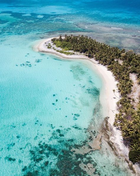 Apo Island, Future Board, Dumaguete, Dreamy Places, Cocos Island, Oceania Travel, Bucket List Destinations, Island Resort, Tropical Paradise