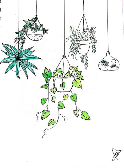 How To Draw A Hanging Plant, Pothos Drawing Simple, Hanging Plant Drawing, Pinterest Stickers, Annotation Ideas, Hanging Plant Pots, Hanging Potted Plants, Book Cover Page Design, Cool Easy Drawings