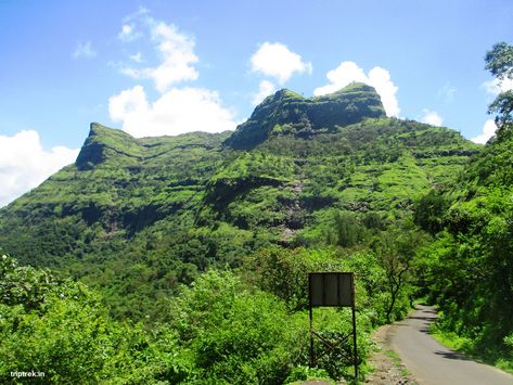 #Raigad Fort #Gadtirth Raigad #Trekking Destination Raigad Fort Hd, Raigad Fort, Diamond Background, Warriors Wallpaper, Mount Rainier, Trekking, Terrace, Fort, Natural Landmarks