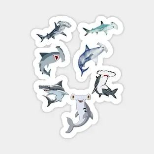 Hammerhead Shark - Hammerhead Sharks - Sticker | TeePublic Hammerhead Sharks, Hammer Head, Hammerhead Shark, Sharks