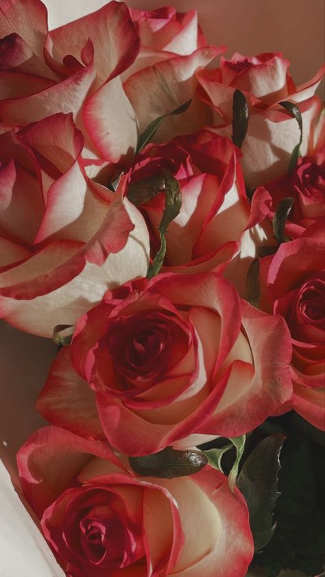 Love Rose Flower, Boquette Flowers, Nothing But Flowers, Rose Arrangements, Inspiration Aesthetic, Wallpaper Nature Flowers, Flower Therapy, Beautiful Bouquet Of Flowers, Luxury Flowers