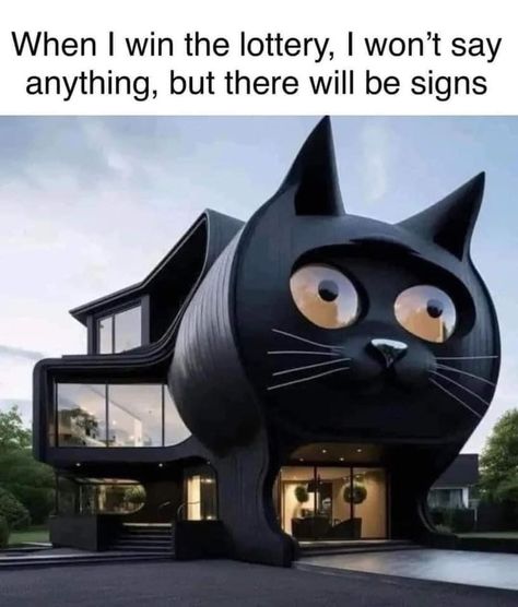 Win The Lottery, Cat Humor, The Lottery, Winning The Lottery, Morning Humor, Memes Humor, Humor Memes, Funny Cat Memes, Silly Cats