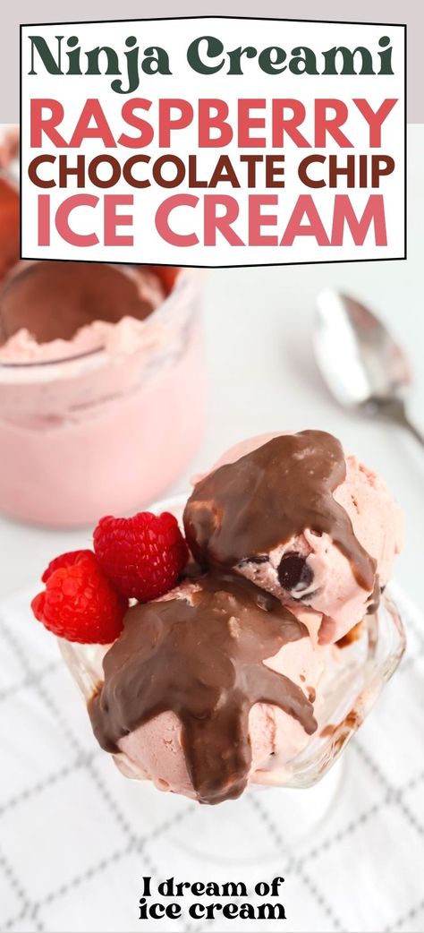 This raspberry chocolate chip ice cream is such a deliciously easy Ninja Creami recipe! It uses frozen raspberries (though you can use fresh if you prefer) to create a decadent treat chock full of chocolate! Bev Bos, Ninja Creami Recipe, Ninja Creamy, Ninja Ice Cream Recipe, Raspberry Chocolate Chip, Healthy Ice Cream Recipes, Magic Shell, Creami Recipes, Raspberry Ice Cream