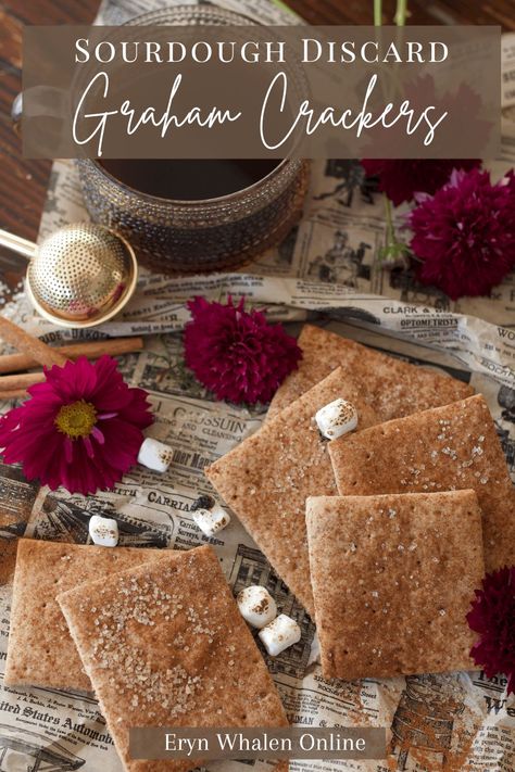 Sourdough Discard Graham Cracker Recipes, Homemade Graham Crackers Healthy, Sourdough Gram Crackers, Cheesy Sourdough Discard Crackers, Discard Graham Crackers, Homemade Sourdough Crackers, Sourdough Graham Cracker Recipes, Sourdough Discard Graham Crackers, Home Made Crackers Recipes