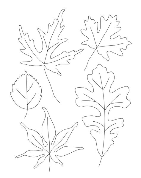 Contour Leaf Drawings - Welcome to Ms. Long's Class Leaf Drawings, Thankful Tree, Mandala Doodle, Simple Leaf, Drawing Letters, Contour Drawing, Leaf Drawing, Stencil Templates, Drawing Projects