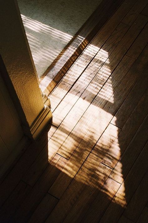 背景 シンプル, Luz Natural, The Shadow, Morning Light, Slow Living, On The Floor, Narnia, The Floor, Light And Shadow