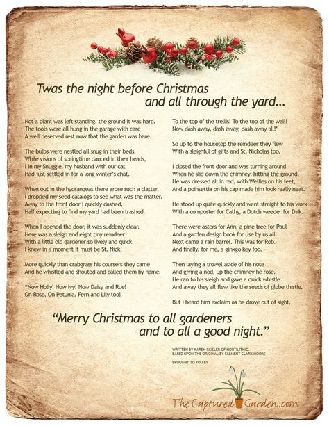 ~free download ~  “Twas the Night before Christmas and All Through the Yard, Not a plant was left standing, the ground it was hard. The tools were all hung in the garage with care A well deserved rest now that the garden was bare.  The bulbs were nestled all snug in their beds, While visions of springtime danced in their heads, I in my Snuggie, my husband with our cat Had just settled in for a long winter’s chat.  When out in the hydrangeas there arose such a clatter, #christmas #poem