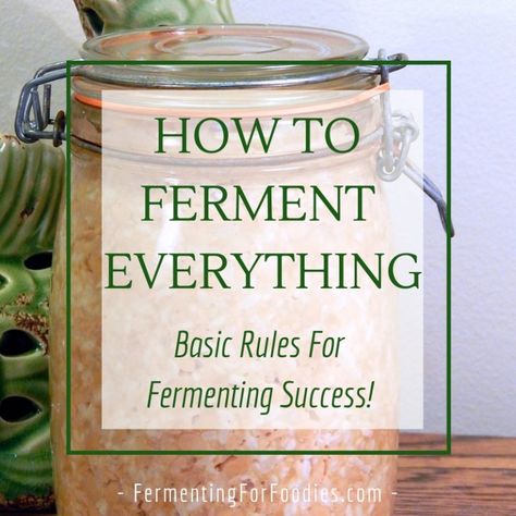 Basic rules for fermenting everything. Vegetables, sourdough, yogurt, kombucha Kombucha Yogurt, Fermented Vegetables Recipes, Fermented Sauerkraut, Fermented Veggies, Fermented Pickles, Fermentation Recipes, Fermented Vegetables, Fermented Drink, Probiotic Foods