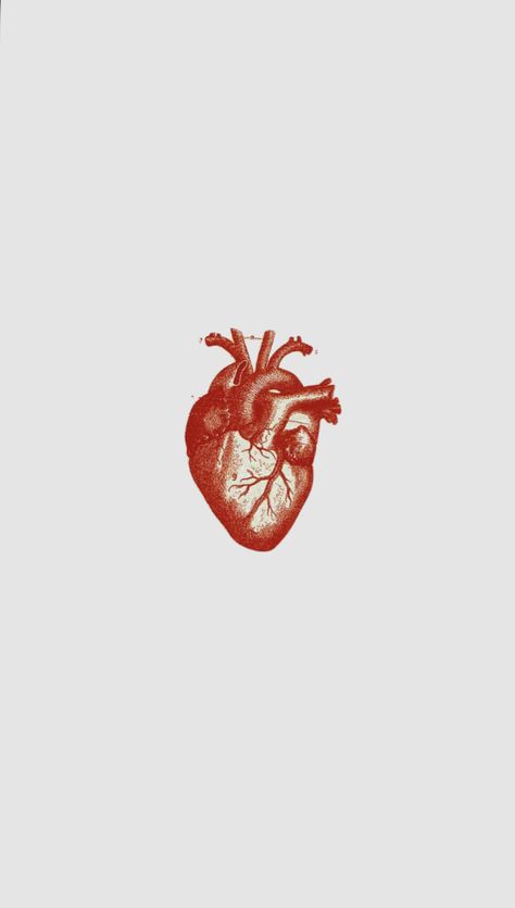 Anatomical Heart Background, Realistic Heart Wallpaper Aesthetic, Real Heart Aesthetic, Human Heart Aesthetic, Heart Anatomy Wallpaper, Anatomical Heart Wallpaper, Human Heart Wallpaper, Real Heart Wallpaper, Wallpapers Iphone Fondos Asthetics