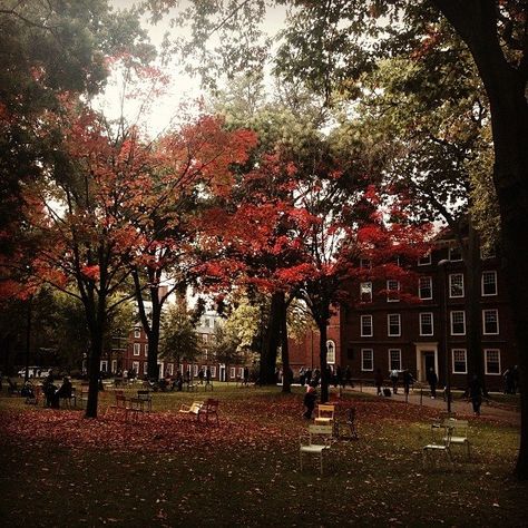 Harvard Fall Aesthetic, Harvard Summer School, School Yard Aesthetic, Harvard Student Aesthetic, Harvard University Aesthetic, Harvard Aesthetic, Harvard Campus, Harvard Uni, Law School Fashion