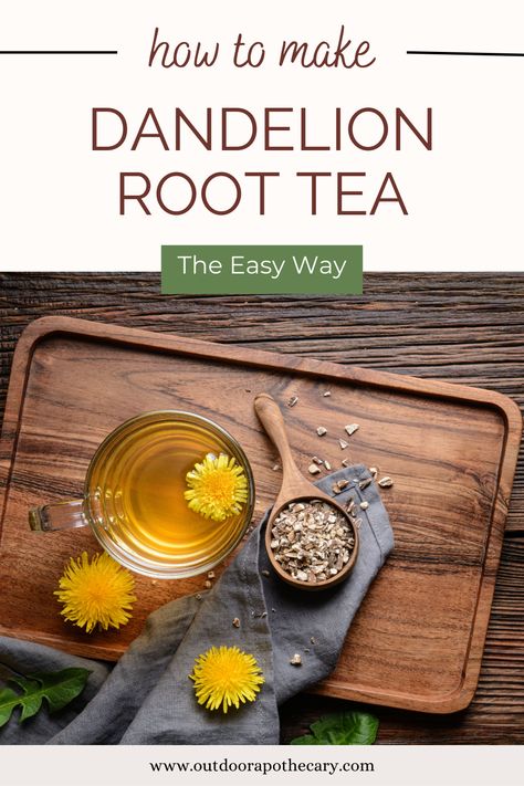 Benefits Of Dandelion Root, Dandelion Tea Recipe, Outdoor Apothecary, Chai Tea Benefits, Burdock Tea, Burdock Root Tea, Dandelion And Burdock, Dandelion Benefits, Dandelion Root Tea