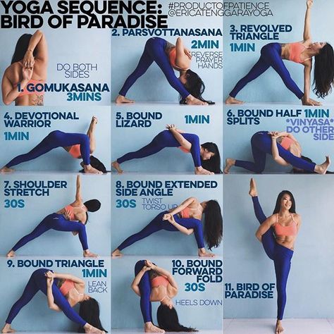 YOGA SEQUENCE: BIRD OF PARADISE Warm up: Sun Salutation A&B x5 each YouTube if unsure 1. GOMUKASANA The secret to not feeling like your shoulder is going to dislocate in a bind is Gomukasana & reverse prayer the 3 mins is going to feel like shit, I understand I'm with you but trust me that everything is going to be ok 2. PARSVOTTANASANA Don't forget the prayer hands k? if it jacks up your wrists just hold onto opposite elbows, I've put the two shittiest parts of the sequence up first so ... Bird Of Paradise Yoga, Sun Salutation A, Side Crow, Yoga Beginners, Yoga Sequence, Yoga Iyengar, Advanced Yoga, Yoga Moves, Yoga Times