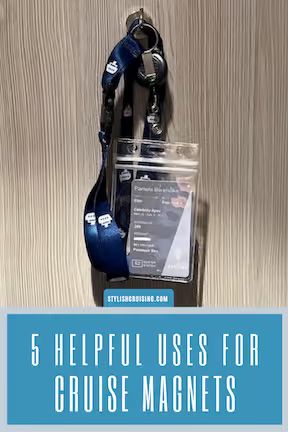 5 Helpful Uses For Cruise Magnets With Hooks Cruise Magnets, Chic Cabin, Norwegian Breakaway, Magnetic Hooks, Cruise Essentials, Celebrity Cruises, Norwegian Cruise Line, Norwegian Cruise, Wet Clothes