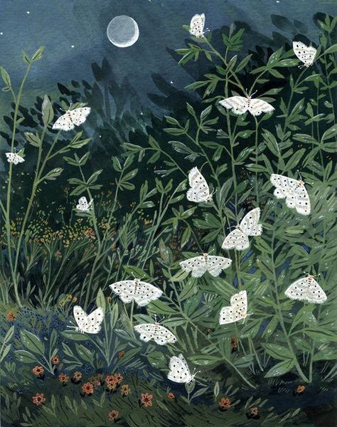 This is an artist reproduction print of an original gouache painting. Printed on EPSON Hot Press Fine Art Paper 100 % Cotton & Acid Free Signed 8 X 10 Ships flat unless combined with a larger print ©beccastadtlander Full Moon, Moth, Butterflies, Moon, Stars, Plants, Flowers, Art