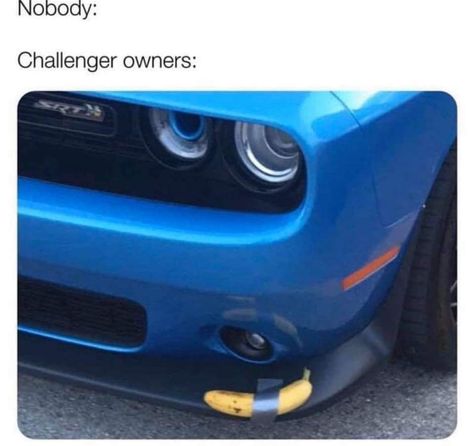 Car Jokes, Funny Car Memes, Car Memes, Scat Pack, Mopar Or No Car, Cars And Coffee, Corvette Stingray, Car Guys, Car Humor