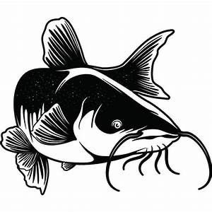 Catfish Silhouette, Catfish Drawing, Catfish Tattoo, Flathead Catfish, Cats Drawings, Channel Catfish, Drawing Cat, Fish Drawings, Drawing Cartoon