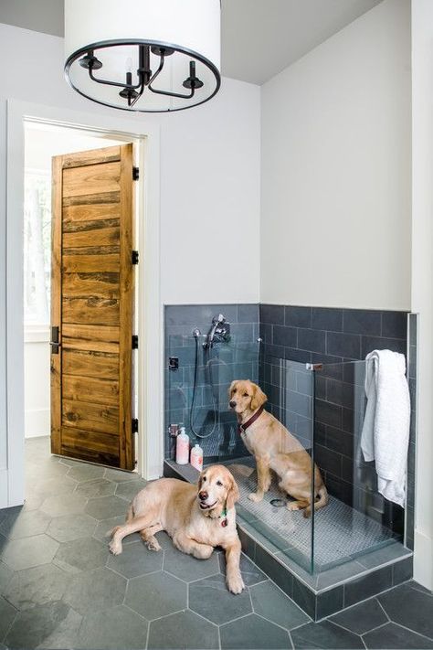 Modern Farmhouse Features: Dog Shower in Bathroom #dogs #forthehome #pets #decor #decoratingideas #homedecor #homedecorideas Dog Bathing Station, Pet Washing Station, Pool Diy, Doorless Shower, Rustic Laundry Rooms, Dog Bathroom, Dog Washing Station, Harrison Design, Walk In Shower Designs