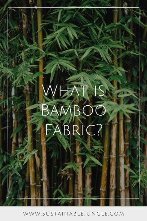 Bamboo Fabric Clothing, Bamboo Clothes, Fabric Shaver, Bamboo Sheets, Bamboo Clothing, Hemp Fabric, Bamboo Plants, Got Quotes, Eco Friendly Clothing