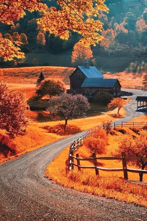 Autumn in the Country Kapten Marvel, Autumn Foliage, Autumn Scenes, Autumn Scenery, A Barn, Fall Pictures, Fall Wallpaper, Country Road, Fall Foliage