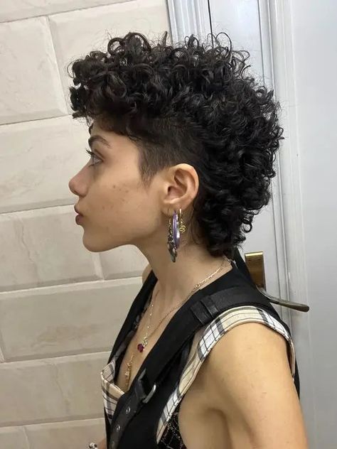 Short Curly Hairstyles Shaved Sides, Curly Shaved Mullet, Curly Mullet With Undercut, Mullet Haircut Woman Curly, Curly Mullhawk, Short Mullet Hairstyle Women Curly, Short Curly Haircuts Shaved Sides, Shaved Curly Hair Women, Mullet Haircut For Curly Hair