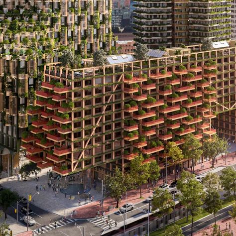 Adjaye Associates' new plant-covered design, called Timber House, in Toronto will be one of the largest residential mass-timber structures in Canada. Henning Larsen, Master Thesis, Timber Buildings, Japanese Architect, Wooden Buildings, Timber Structure, Zaha Hadid Architects, Green Architecture, Timber House