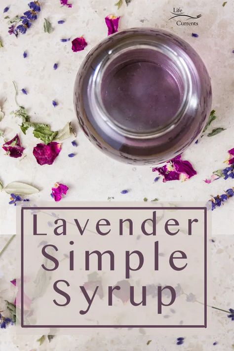 Lavender Simple Syrup Recipe is a great way to get the wonderful flavor of lavender into all kinds of desserts. It’s easy to make, and lovely in special desserts. Lavender Simple Syrup Recipe, Lavender Recipe, Lavender Simple Syrup, Simple Syrup Recipe, Easy Juice Recipes, Lavender Recipes, Lavender Syrup, Simple Syrup Recipes, Homemade Syrup