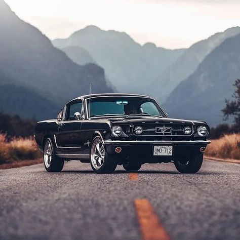 Muscle Car Wallpaper, 1967 Gt500, Mustang Muscle Car, Mustang 1967, Ford Mustang 1967, Ford Mustang Classic, Muscle Cars Mustang, Mustang Wallpaper, Vintage Mustang