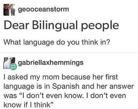 Bilingual Humor, Halsey Badlands, Language Funny, Magical Land, Funny Af, Amazingphil, Funny Tumblr Posts, Halsey, What’s Going On