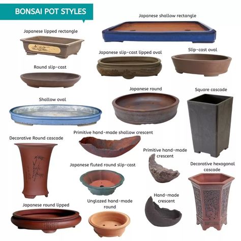 Bonsai Tree Pot Ideas, Cascade Bonsai Pot, Japanese Bonsai Pots, Bonsai Containers Pots Diy, Japanese Bonsai Garden, Bonsai Ceramic Pots, Pottery Bonsai Pots, Bonsai Forest Ideas, Bonsai Pot Design