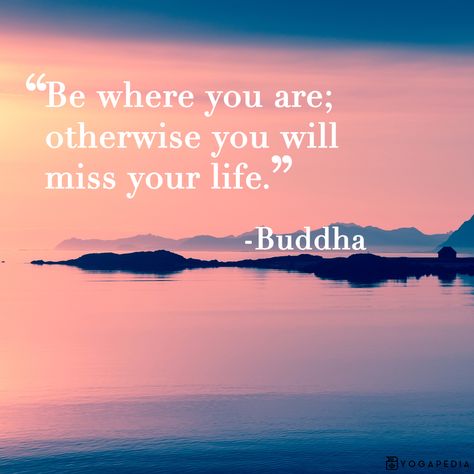 Stay Present Quotes, Present Quotes, Be Present Quotes, Buddha Quotes Life, Stay Present, Wanderlust Quotes, 2020 Vision, Buddhist Quotes, Buddha Quote