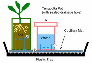 Veg Gardens, Potting Ideas, Diy Self Watering Planter, Edible School Supplies, Guerilla Gardening, Self Watering Containers, Self Watering Plants, Diy Edible, Green Ideas