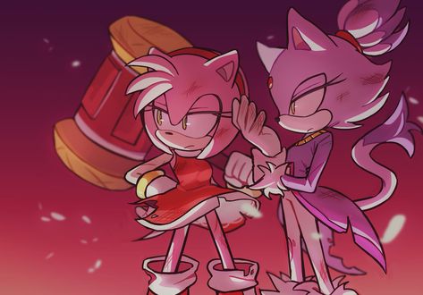 Amy Rose And Blaze, Blazamy Fanart, Blaze And Amy, Amy X Blaze, Amy And Blaze, Blaze X Amy, Beginner Sketches, Hedgehog Movie, Amy The Hedgehog