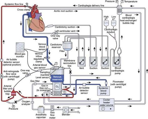 Cardiology Np, Nursing Terminology, Cardiac System, Ecmo Machine, Cath Lab Nursing, Function Of The Heart, Medications Nursing, Cardiac Sonography, Cardiothoracic Surgery