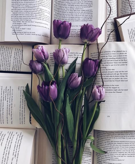 13 Razones por las que es mejor regalar tulipanes que rosas Lilac Aesthetic, Nature Photography Trees, Nature Photography Flowers, An Open Book, Purple Tulips, Open Book, Purple Aesthetic, Love Flowers, Flower Wallpaper