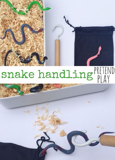 Snake Activities Preschool, Snake Preschool Activities, Preschool Snake Activities, Reptile Themed Activities, Snake Activities For Kids, Snake Kindergarten Activities, Snake Provocations, Snake Activity, Snake Handling