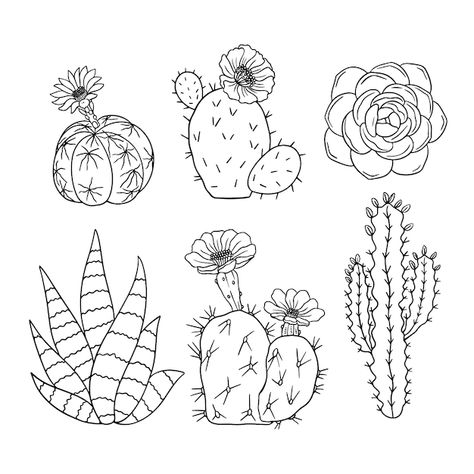 Cactus Drawing Black And White, How To Draw Cactus, Cacti Drawing Simple, Cactus Drawing Simple, Fern Outline, Continous Line Drawing, Ap Ceramics, Cactus Outline, Cactus Vector