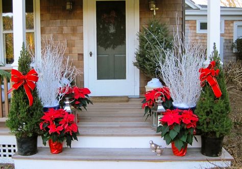 Poinsettias Galore Christmas Porch Decoration Best Outdoor Christmas Decorations, Christmas Photos Outfits, Outdoor Christmas Tree Decorations, Outdoor Christmas Tree, Christmas Porch Decor, Christmas Family Photos, Navidad Diy, Front Porch Christmas Decor, Christmas Porch