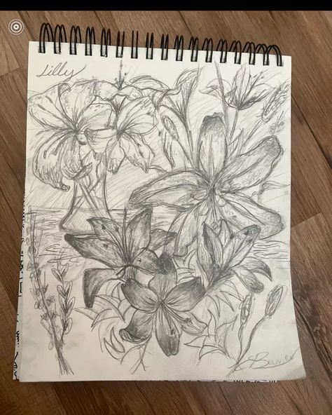 lilly flower drawing sketch collage