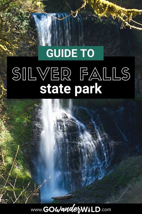 As one of Oregon’s most popular hiking locations, Silver Falls State Park has a lot to offer everyone, from experienced campers to families looking for a day hike. A little more than an hour from Portland, Silver Falls offers over 9,000 acres of pristine wilderness with well-maintained trails and dozens of campsites. Visit the blog to get helpful tips on visiting Silver Falls State Park. #SilverFallsStatePark #SilverFallsHike Silver Falls State Park Oregon, Silver Falls Oregon, Hiking Locations, Oregon Camping, Seattle Trip, Oregon Trip, Oregon State Parks, Waterfall Hike, Silver Falls State Park