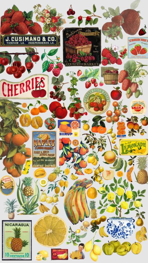 Vintage fruit wallpaper Fruits Wallpaper, Florida Oranges, Fruit Wallpaper, Vintage Fruit, Naples Florida, Lemonade, Fruit, 10 Things