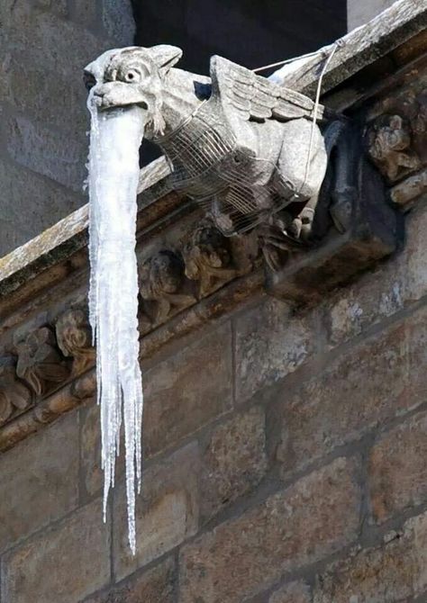 gargoyle at cathedral of leon, spain Gargoyles Art, Leon Spain, Gothic Gargoyles, Foto Art, Gothic Architecture, Medieval Fantasy, Gothic Art, Sculptures & Statues, Glass Doors