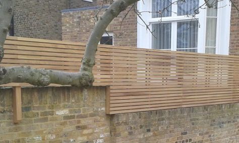 Top of Wall Iroko Panels Brick Wall Gardens, Slatted Fence, Brick Wall Ideas, Slatted Fence Panels, Trellis Fence Panels, Trellis Fence, Wood Trellis, Narrow Garden, Fence Toppers