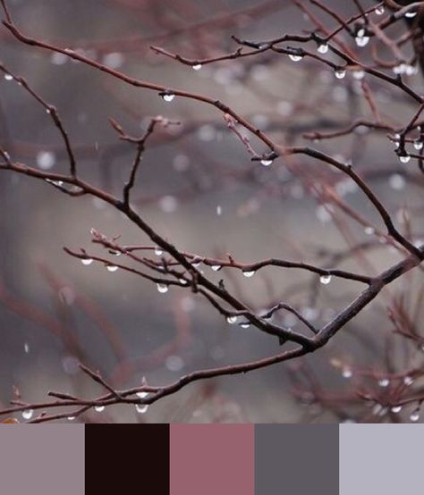 raindrops color palette Rain Color Palette, Rainy Day Color Palette, Cloudy Color Palette, Monsoon Colour Palette, Stormy Sky Color Palette, Cozy Rainy Day, Blue Colour Palette, Color Pallets, Rainy Day